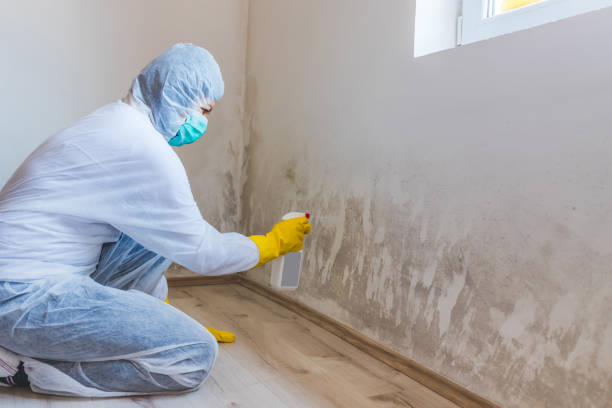 Licensed Commercial Mold Remediation service in Wayne, PA - WQB Mold Removal