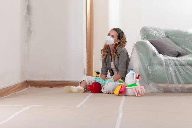 Reliable Commercial Mold Remediation contractor in Wayne, PA by WQB Mold Removal